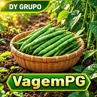 Telegram profile photo for SALSAOPG