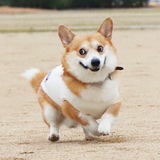 Telegram profile photo for 推广素材/pg电子/提款截图/中奖截图