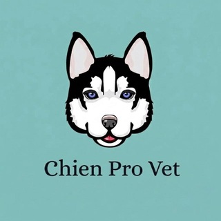 Telegram profile photo for Ветеринарная клиника «Chien Pro Vet»🐾