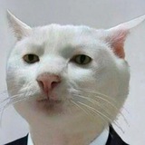 Telegram profile photo for Сами по себе