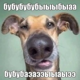 Telegram profile photo for Жпзпдп