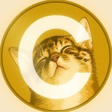Telegram profile photo for $CATE