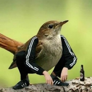 Telegram profile photo for Handselected meme collection
