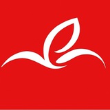 Telegram profile photo for موسسه خیریه بچه های سیب سرخ