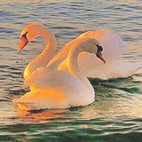 Telegram profile photo for روانشناسي درويش
