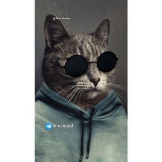 Telegram profile photo for ๐๐ข๐ ๐๐๐๐.