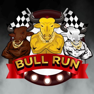 Telegram profile photo for BullRun Channel