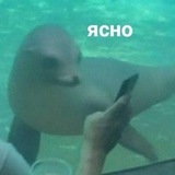 Telegram profile photo for Депрессия
