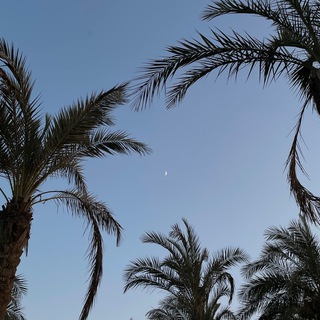 Telegram profile photo for riyadu.muslimin