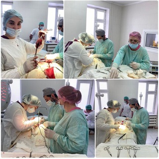 Telegram profile photo for Dr._Madaeva