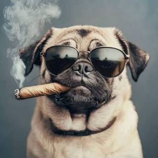 Telegram profile photo for ега