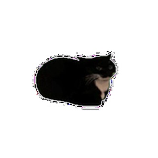 Telegram profile photo for • ꪑꫀꪑꪗ •