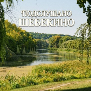 Telegram profile photo for Подслушано Шебекино