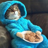 Telegram profile photo for Мяуколка 2.0