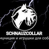 Telegram profile photo for 𝑆𝐶𝐻𝑁𝐴𝑈𝑍𝐶𝑂𝐿𝐿𝐴𝑅||Ᏼᴏᴩᴏнᴇж🐩