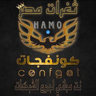 Telegram profile photo for free internet | ثغرات مصر