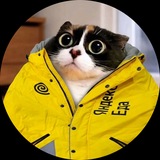 Telegram profile photo for КУКИ КУРЬЕР 😾