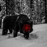Telegram profile photo for RAPTURE.