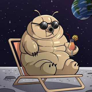 Telegram profile photo for Tardi Channel
