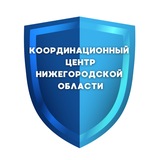 Telegram profile photo for Координационный центр НО