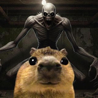 Telegram profile photo for Подвал Капибарди 🦦