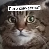 Telegram profile photo for Cheater7651