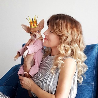 Telegram profile photo for Оксана & Чихуахуа Бонита