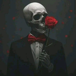 Telegram profile photo for Scarry Box