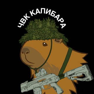 Telegram profile photo for ЧВК КАПИБАРА🥀