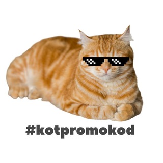 Telegram profile photo for Кот Промокод🚀