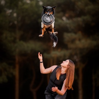 Telegram profile photo for Фризби с Ариной