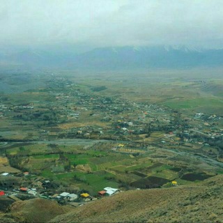 Telegram profile photo for درختنگان