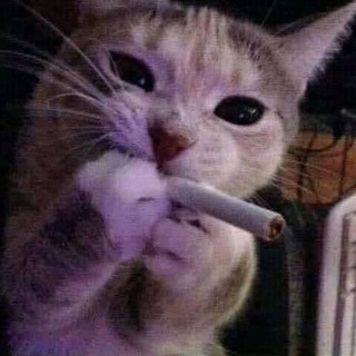 Telegram profile photo for что нравится всем, но в тайне у тебя вызывает ненависть Confession