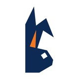 Telegram profile photo for DexRocket BUNICORN