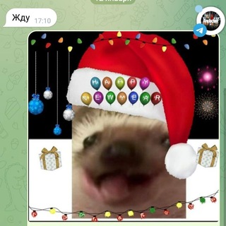 Telegram profile photo for Канал тарелки