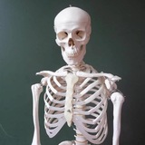 Telegram profile photo for Похудей