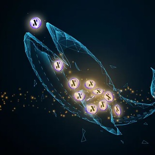 Telegram profile photo for Alephium Whales