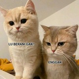 Telegram profile photo for ipen