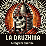 Telegram profile photo for La Druzhina 🇷🇺 🛡