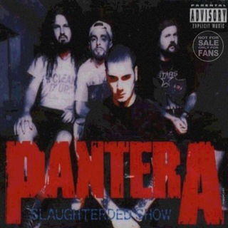 Telegram profile photo for PANTERA | Dimebag Darrell