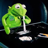 Telegram profile photo for KERMIT THE FROG