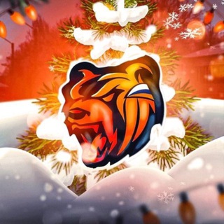 Telegram profile photo for СЛИВЫ АККАУНТОВ