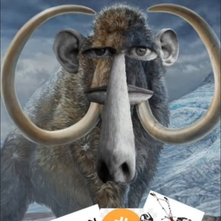 Telegram profile photo for Mamont Solutions