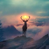 Telegram profile photo for Energy Therapy