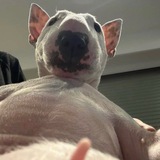 Telegram profile photo for 101 in the Trenches