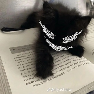 Telegram profile photo for KUZYA TDM
