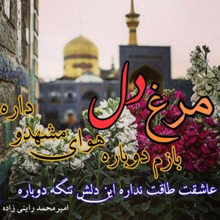 Telegram profile photo for گروه هتلهای ضیافت نور