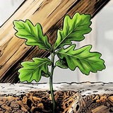 Telegram profile photo for ECO FAHWERK Строительство домов