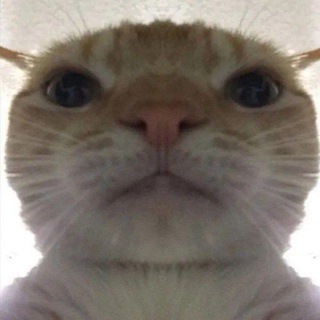 Telegram profile photo for Подвал скемероо