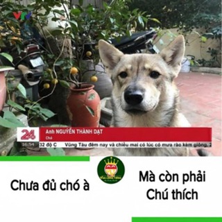 Telegram profile photo for Kênh thông báo kèo ngon